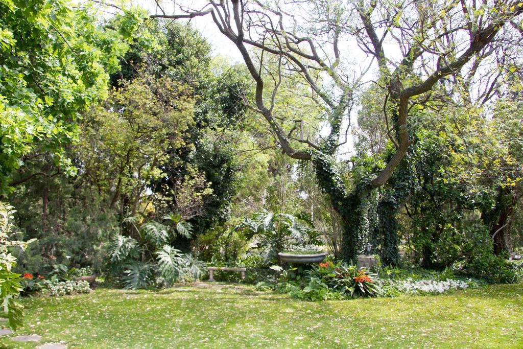 Positano Guest House Queenstown Exterior photo